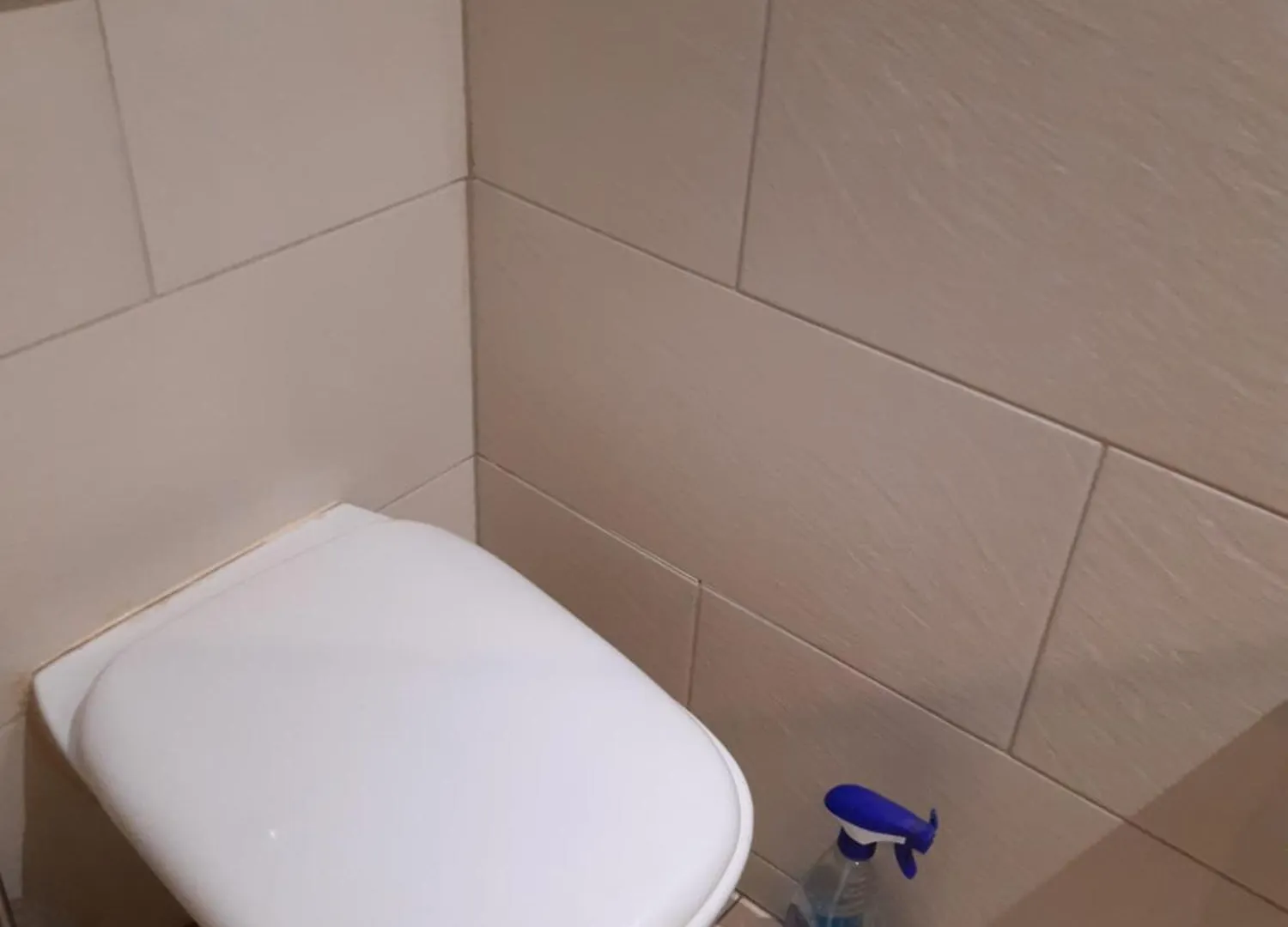 Apartament Donauruhe Und Aussicht Wiedeń 0*,