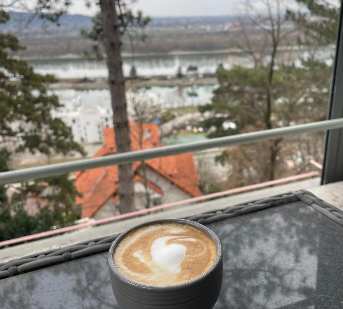Donauruhe Und Aussicht Apartment Vienna